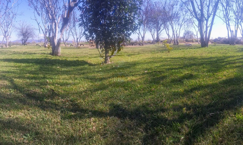 Lote De 500m2 Con Servicios En Atlixco