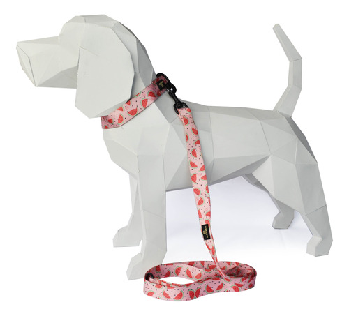 Collar+correa Para Perro/gato Sandias, Marca Mansso