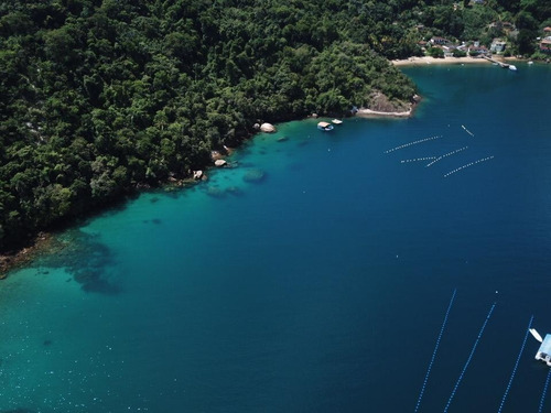 Imagem 7 de 9 de Paraíso Em Ilha Grande - Angra Dos Reis Com 15 Mil M2