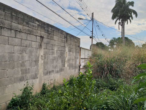 Imagen 23 de 25 de Casa En Las Mayas En El Limon En Maracay