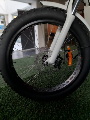 Imagen 15 de 16 de Bicicleta Electrica Sunra Ray Hs / 50km Autonomia