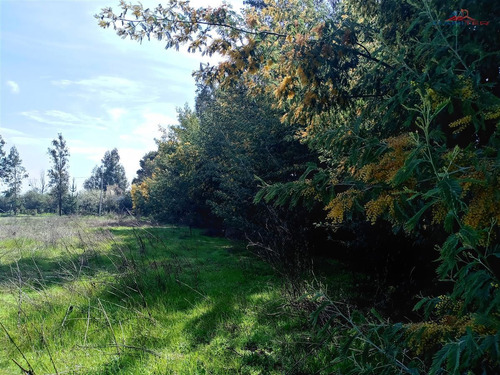 Se Vende Parcela Sector Chacarillas De 5.000 Mt2 En Maule