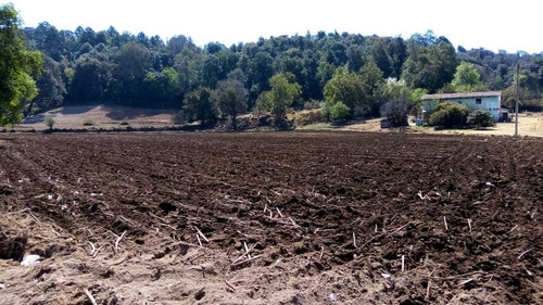 Imagen 3 de 14 de Terrenos En Venta A 15min De Valle De Bravo - Buen Precio
