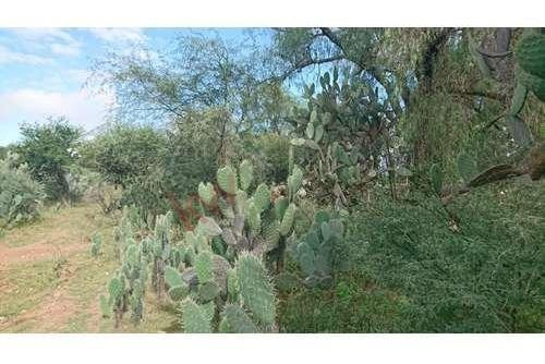 Imagen 22 de 25 de Venta Terreno 25 Mil M2 Cadereyta Queretaro Cerca De Peña De Bernal Tequisquiapan San Juan Del Rio Viñedos Quesos Planetario