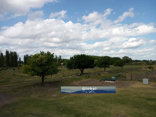 Excelente Finca De 31 Has En San Rafael , Mendoza Zona Vitivinícola Argentina