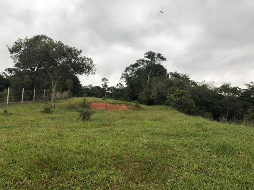 Imagem 3 de 7 de Saia Do Aluguel E Venha Morar Na Cidade Natureza