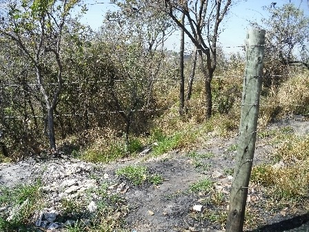 Lote Para Comprar No Cruzeiro Do Sul Em Betim/mg - 232
