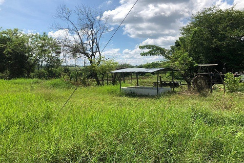 Imagen 15 de 25 de Asein882 Vende Excelente Finca En Tinaquillo Sector Caño De Agua