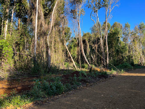 Loteo Don Jaime / Región De Los Lagos (67191)