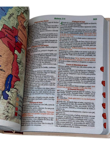 Bíblia Sagrada Evangélica Gigante - Ramos Florida Rosé E Pink - Feminina Com Índice E Harpa Avivada E Corinhos Linguagem Arc Full Color Capa Pu Luxo Flexível