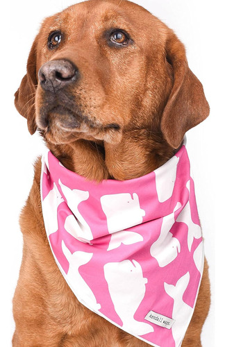 Bandanas Náuticas Para Perros, Bufandas Para Mascotas, Acces