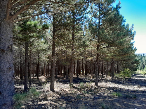 Terreno En El Desafio Mountain Resort, San Martin De Los Andes