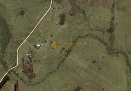 Campo De 48 Has Con 5545 M2 En Medellin Muy Cerca De Jose Ignacio. Valor 20000 Dolares Por Has - Consulte!!!!!!!-ref:1961