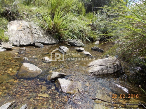 Imagen 10 de 30 de Venta Chacra 96has En Minas, Lavalleja