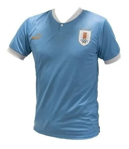 Camiseta Uruguay Puma Oficial Original Niño Niña Futbol 