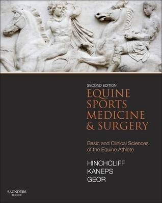 Equine Sports Medicine And Surgery - Kenneth W. Hinchcliff