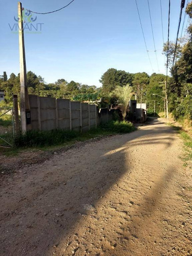 Imagem 2 de 5 de Terreno Pra Locação, A 3 Minutos Da Tibiriçá, Atrás Do Semar Do Raffo - 6000 M² Por R$ 5.000 - Chácara Estância Paulista - Suzano/sp - Te0084