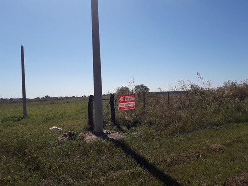 Imagen 6 de 11 de Loteo En Cayastá