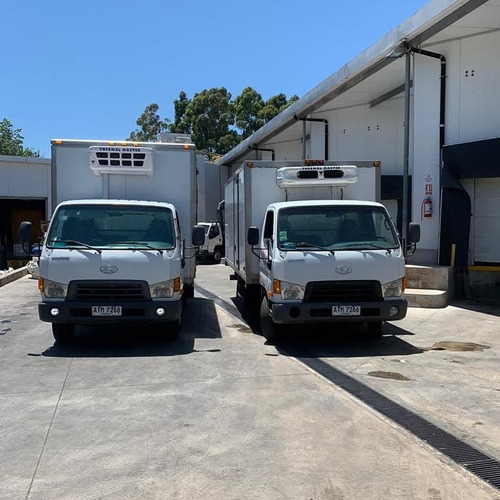 Imagen 4 de 5 de Transportes Fletes Refrigerados Congelados Camion Camioneta