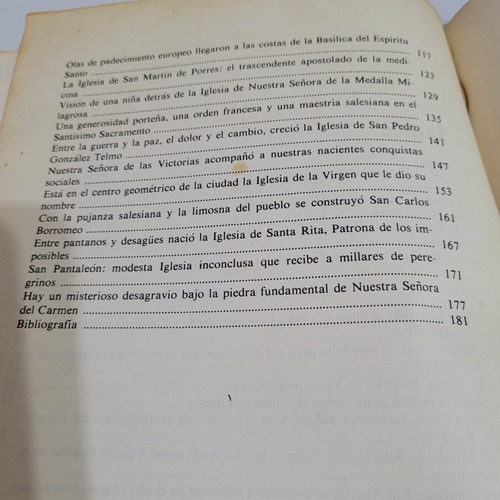 Libro,las Iglesias De Buenos Aires, Adolfo Jasca,itinerarium (Usado)