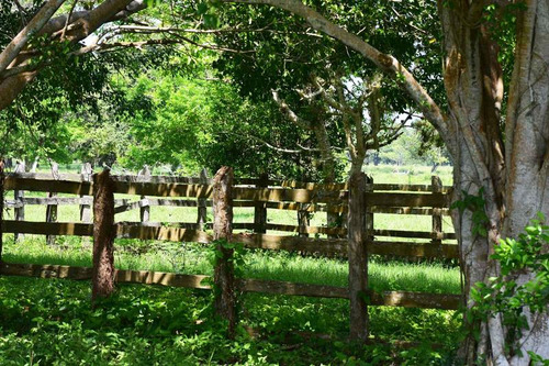 Venta Rancho Ganadero 1229 Hectáreas Tuxpan Veracruz.