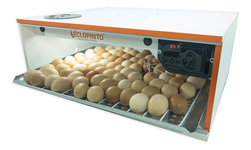 Imagem 3 de 4 de Chocadeira Eclopinto 120 Ovos, Digital, Viragem Automática.