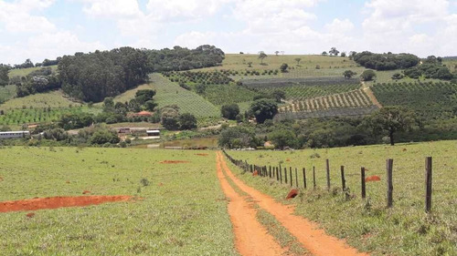 Imagem 15 de 16 de Fazenda 200 Hectares De Café No Municipio De Machado 12.000,000,00 - 39055