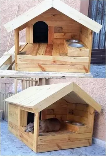 Cuchas