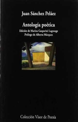Antologia Poetica - Juan Sanchez Peláez, de Juan Sanchez Peláez. Editorial Visor de Poesia en español