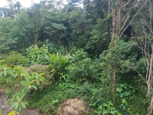 Imagem 3 de 28 de Vendo Chacara 9300m² Com Escritura Em Parelheiros (4262 )