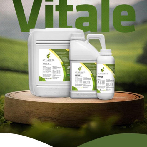 Agrigento Vitale 20 Litros