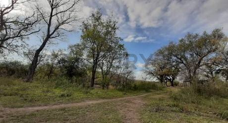Campo Ganadero En Carcaraña. Con Quincho Y Casa