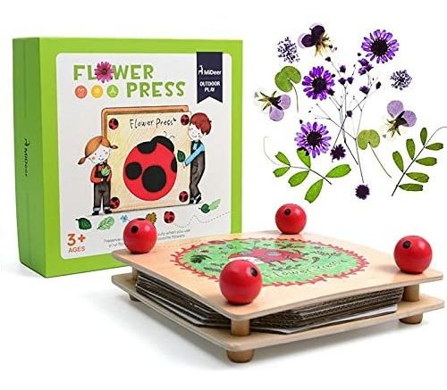 Kit Prensa Flores Y Hojas Niños