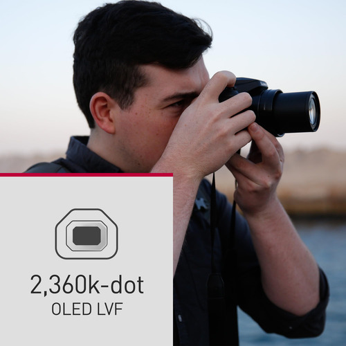Cámara Compacta Panasonic Lumix Fz80d 20-1200 Mm Zoom 4k