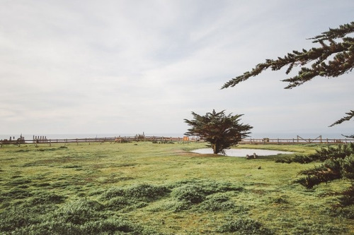 Mirador De Punta De Lobos