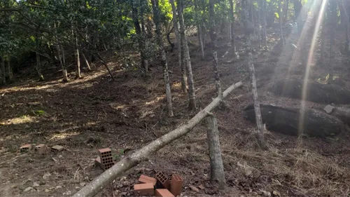 Terreno Em Ilhabela