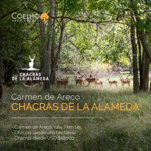 Terreno - Carmen De Areco