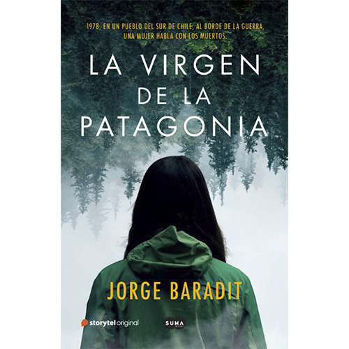 La Virgen De La Patagonia