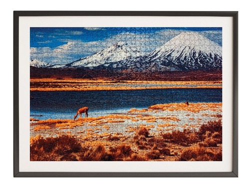 Imagen 3 de 4 de Puzzle 1.000 Piezas Lago Chungará: Emprendimiento Chileno