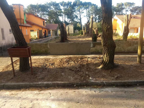 Imagen 2 de 2 de Gran Lote Zona Residencial 200 Mts Del Mar