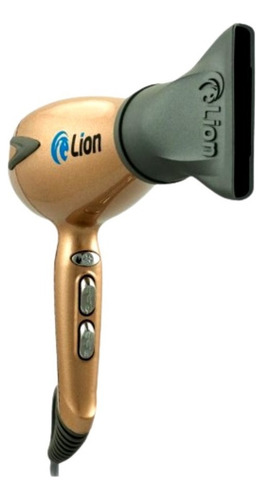Secador De Cabelo Lion Tutti Pro 2600w 220v Dourado