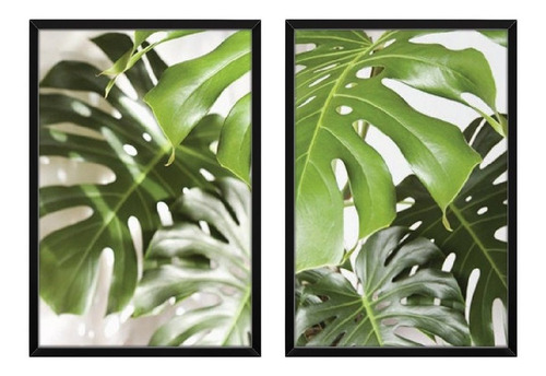 Quadros Decorativos Folha Costela Adao Sala Quarto Moldura