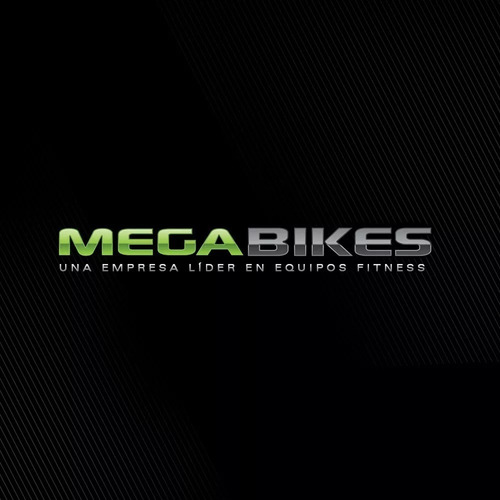 Imagen 2 de 3 de Cinta Motorizada Plegable Fitage Ge 208 Streak