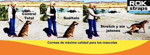 Correa Elastica Perros Rok Straps Delgada Rosa