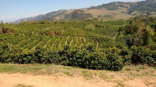 Imagem 12 de 15 de Fazenda Para Venda Em Ouro Fino, Centro - Fazenda 0_1-2237059
