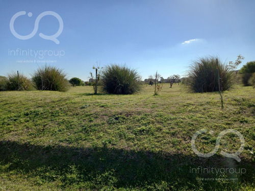 Imagen 1 de 5 de Terreno - San Ramiro