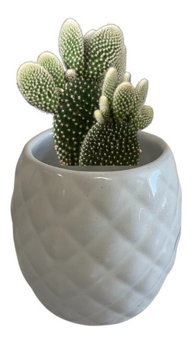 Maceta Cerámica Minimalista Piña