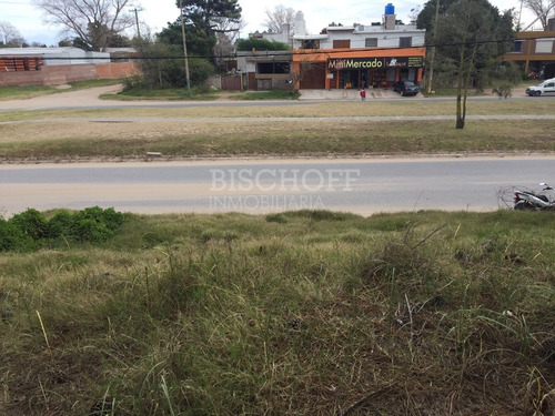 Imagen 9 de 12 de Hermoso Lote Sobre Avenida Principal, En Zona Sur, Villa Gesell