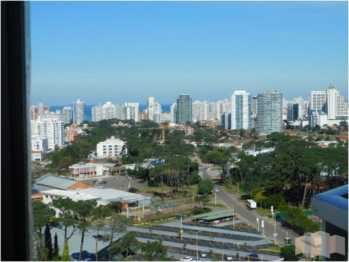 Imagen 27 de 30 de Sobre Avenida Roosevelt