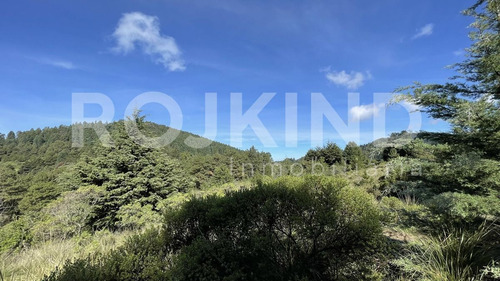 Imagen 20 de 27 de Terreno En Venta Salazar, Estado De México